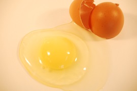 ふるさとたまご村