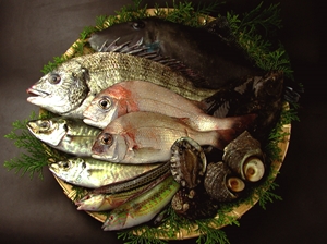 播磨海洋牧場 はりかい キラリひょうご