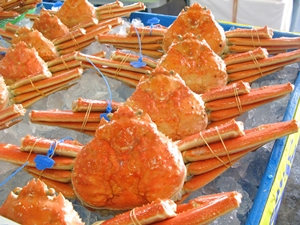 ハマダセイ カニ キラリひょうご