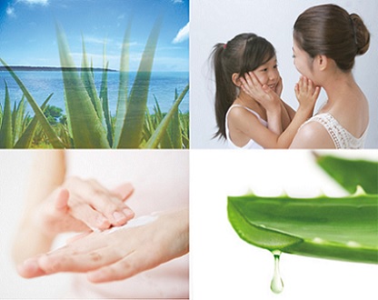 ユーティ―ファンド画像