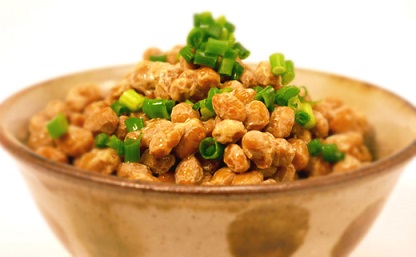 山口納豆ーファンド図