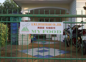 チェンマイ支社