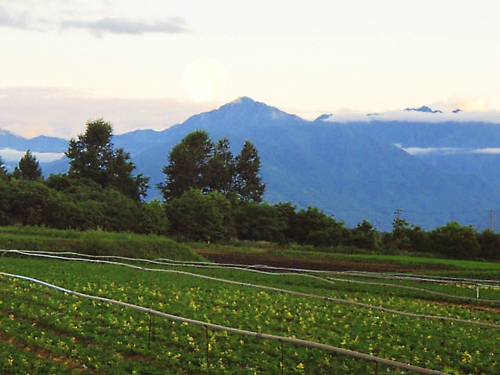 甲斐駒ケ岳の夕暮れ