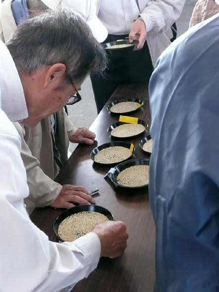 平成27年度雄町米等級検査<検査中>