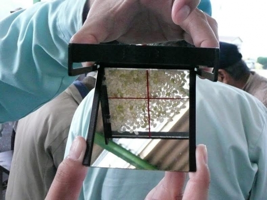 お米を更に詳しく検査中