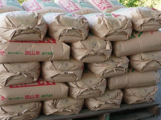 室町酒蔵が購入した雄町米