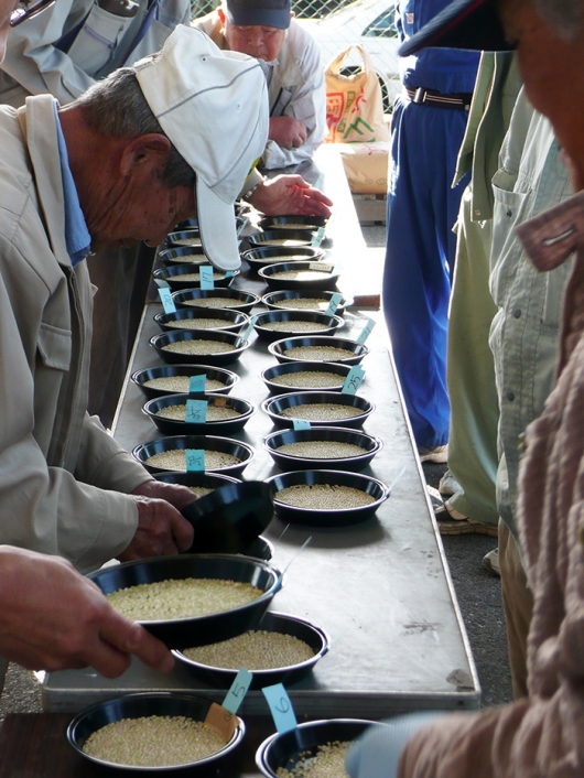 検査風景その２