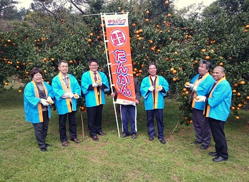 たんかんハサミ入れ式