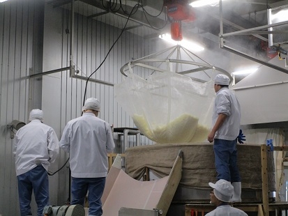 6　蒸米を冷やす