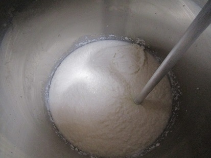 10　酒母　2日目