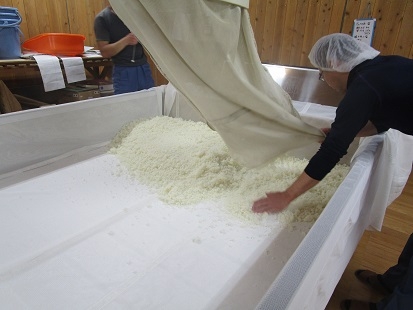 4　48時間後　麹米