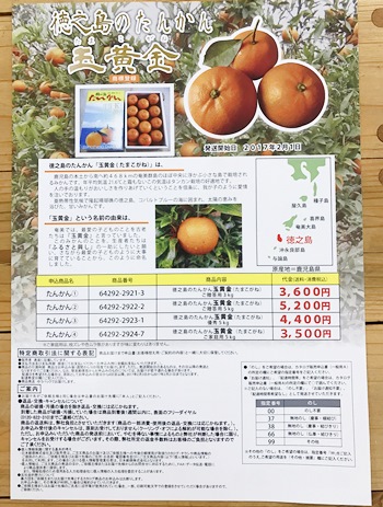 たんかんチラシ裏面