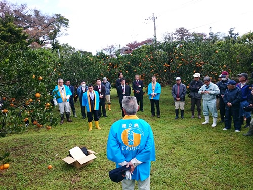 たんかんはさみ入れ式②