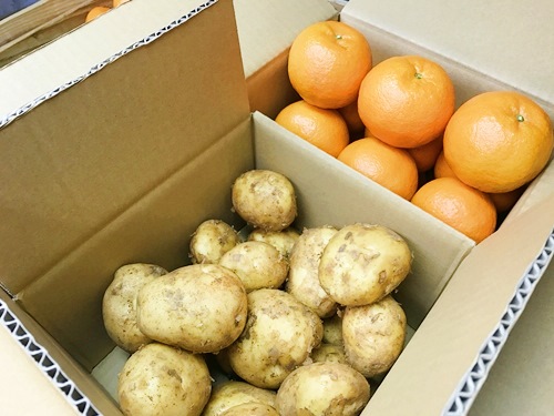 たんかんとじゃがいものセット