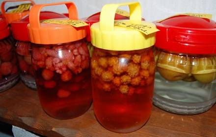 趣味の果樹酒つくり