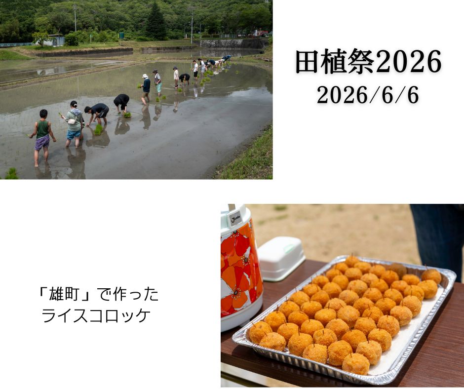 /data/blog/archive/original/62536.jpg