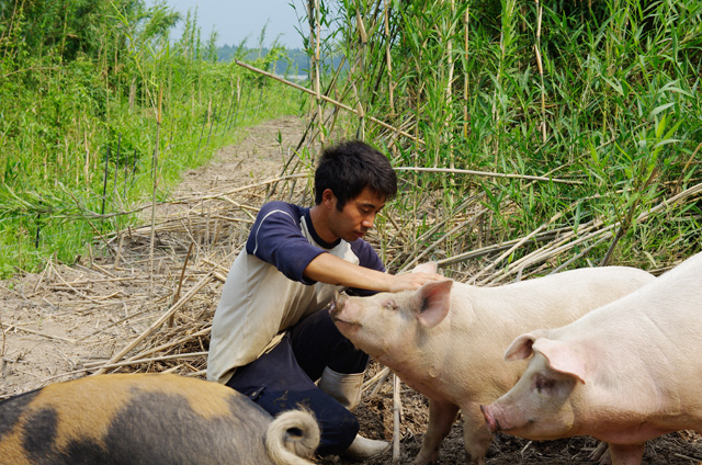 環境修復をしてくれるぶたさんを愛情をもって育てる平川くん