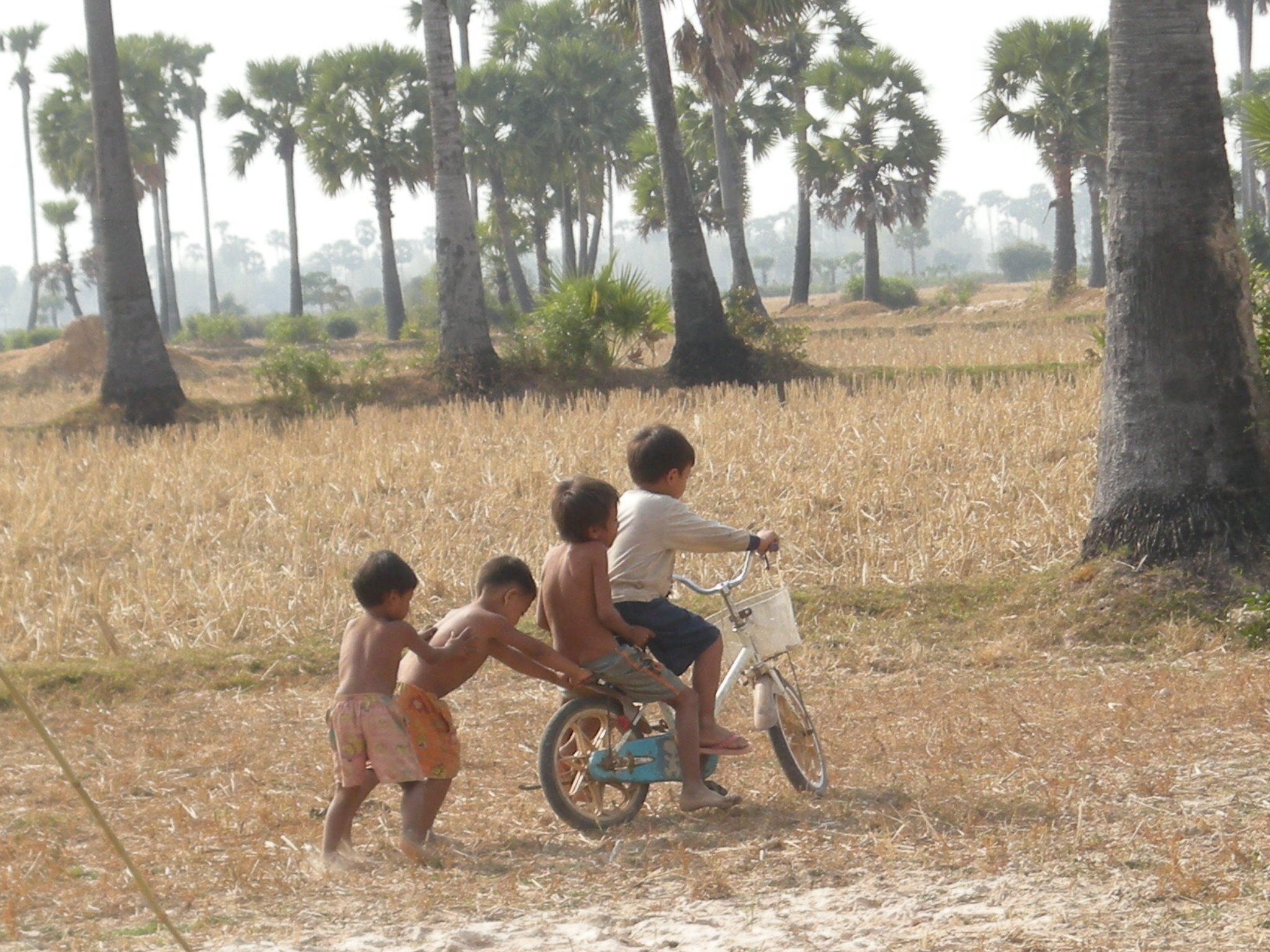 CamboidaST-children