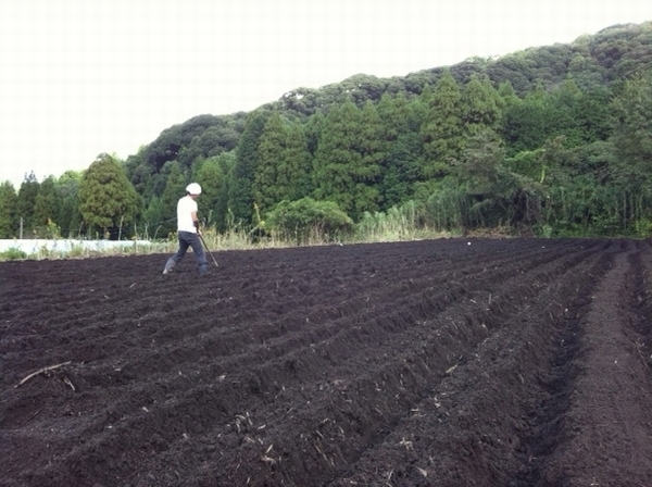 耕運状況(本城畑)