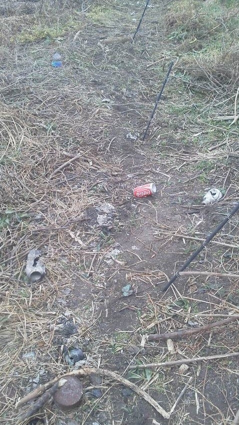 豚さんたちも手を焼く