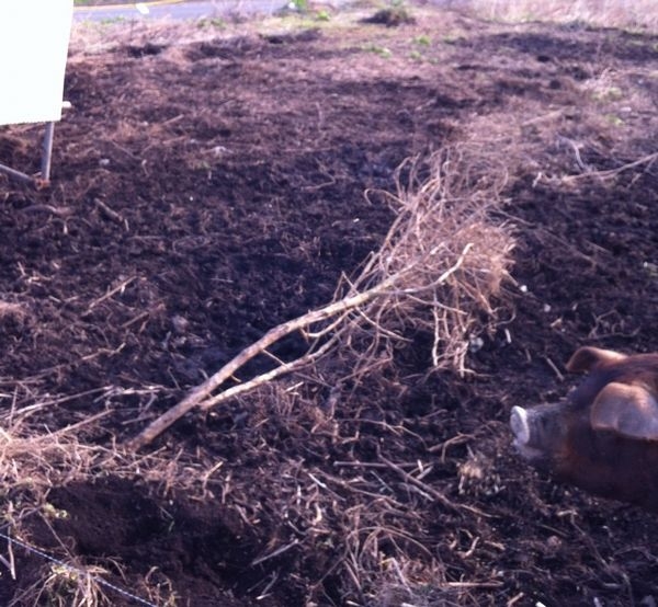 こんな感じになりました