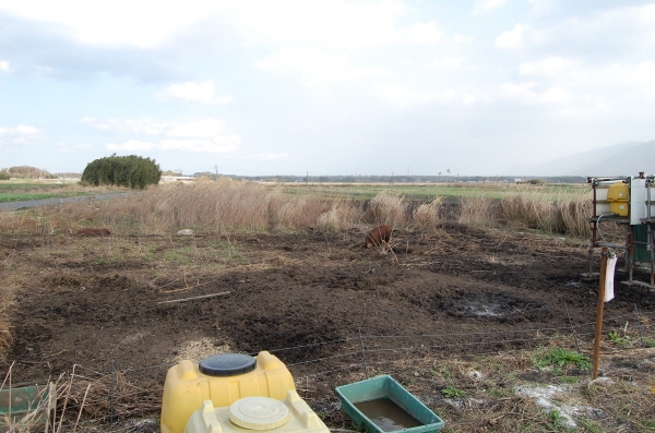 開墾が進む耕作放棄地