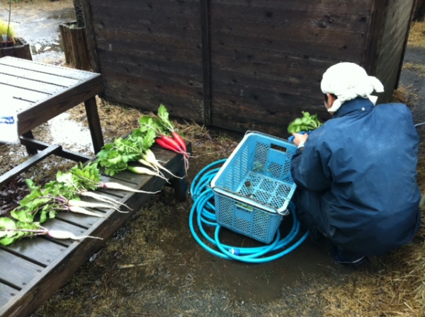 研修生の村上君