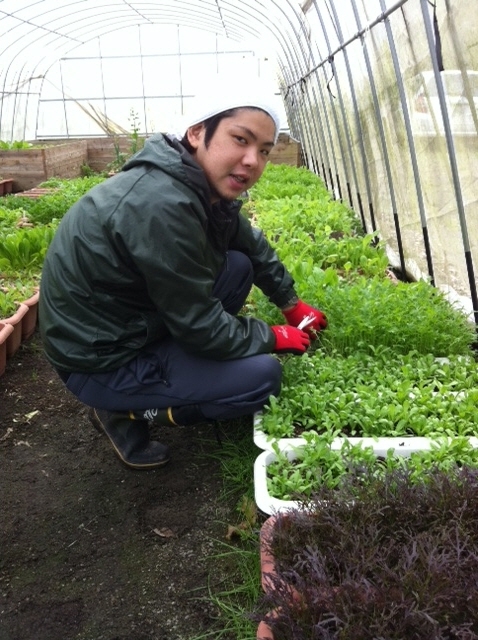 収穫作業をする大西君