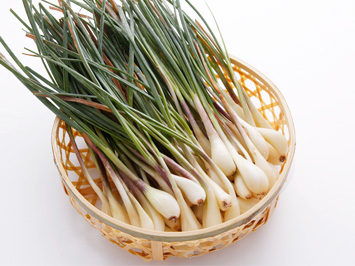 期間限定 滋賀県産大粒島らっきよう まーさん便 700g セキュリテ