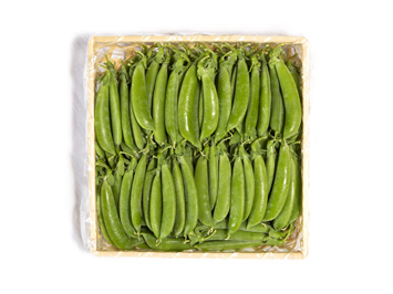 期間限定 和らぎ農法 旬の野菜シリーズ 豆まめ便 セキュリテ