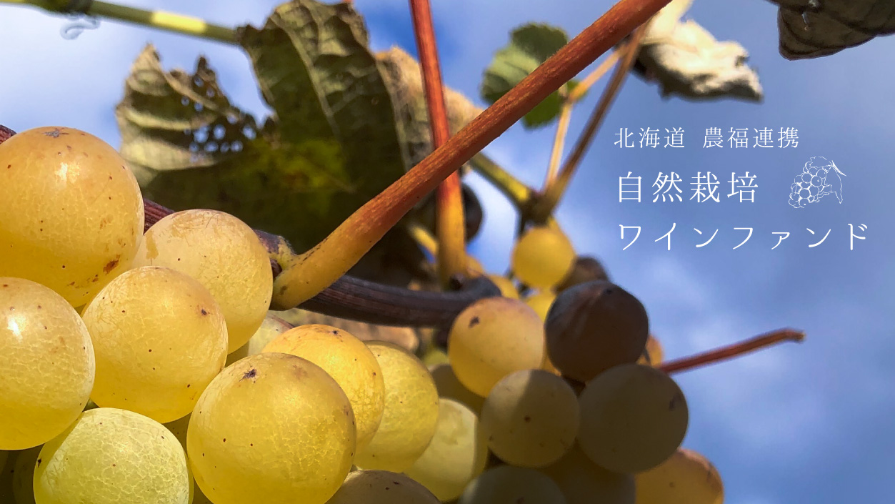北海道　農福連携　自然栽培ワインファンド