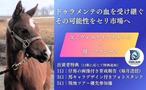 フランセス2026　育成ファンド