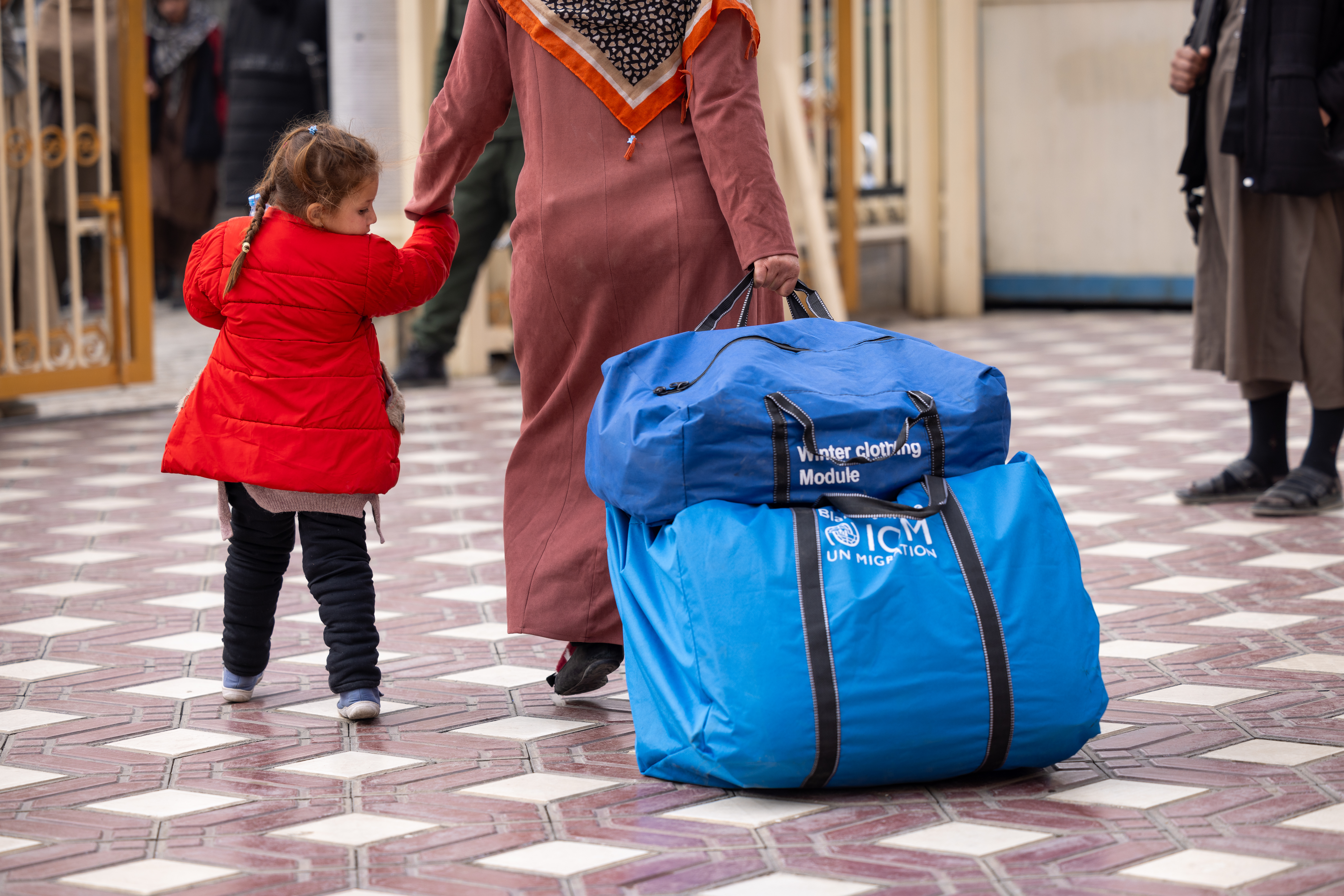 国際移住機関（国連IOM）支援寄付